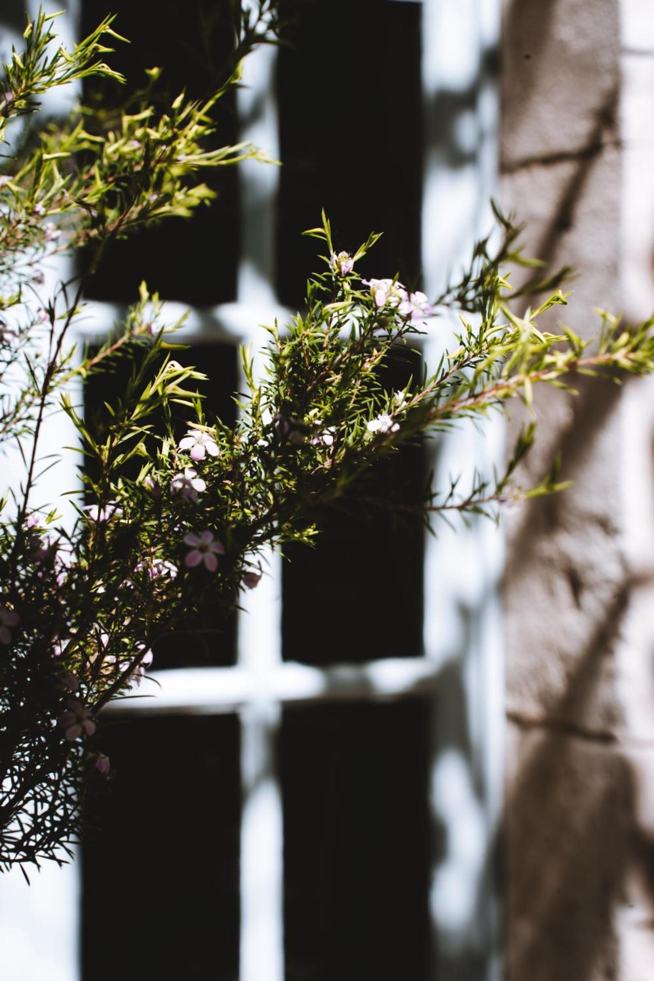 Hotel Bastide Rose Le Thor Exterior foto